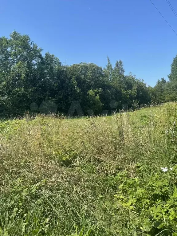 Участок 5,5 сот. (СНТ, ДНП) - Фото 1