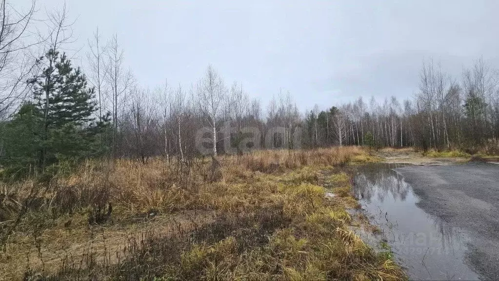 Участок в Татарстан, Казань Лесная Поляна кп,  (10.0 сот.) - Фото 2