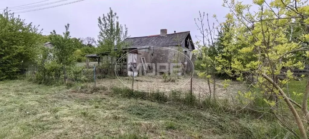 Участок в Калининградская область, Багратионовский муниципальный ... - Фото 1