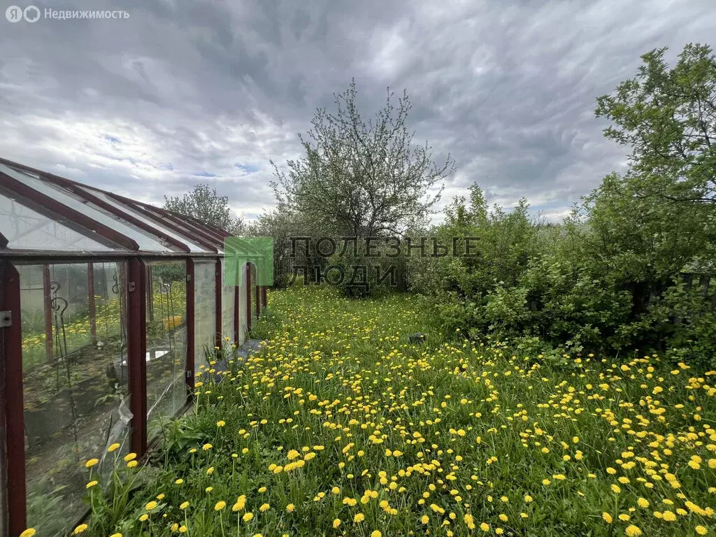Участок в Завьяловский район, СНТ Восток-1 (10.03 м) - Фото 1