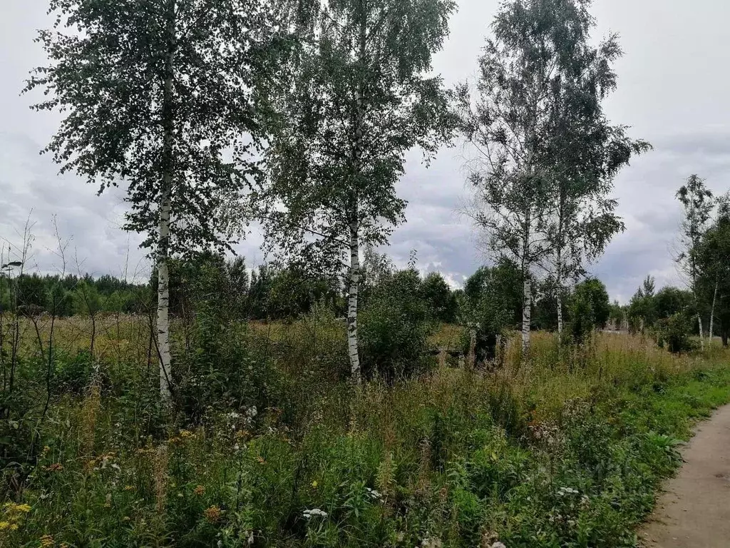 Участок, 620 сот., фермерское хоз-во - Фото 0