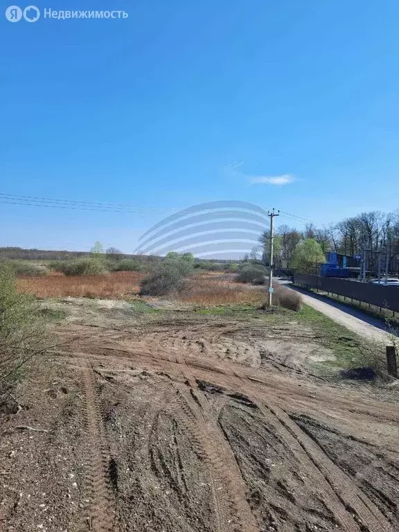 Участок в Воронежская область, Рамонское городское поселение, урочище ... - Фото 1