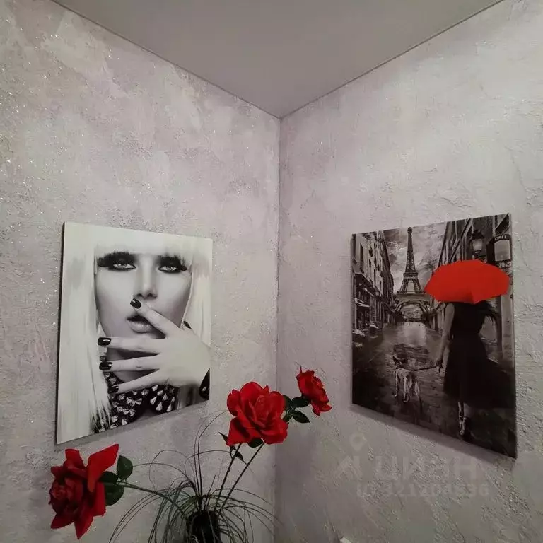 Студия Московская область, Ногинск Богородский городской округ, ул. ... - Фото 1