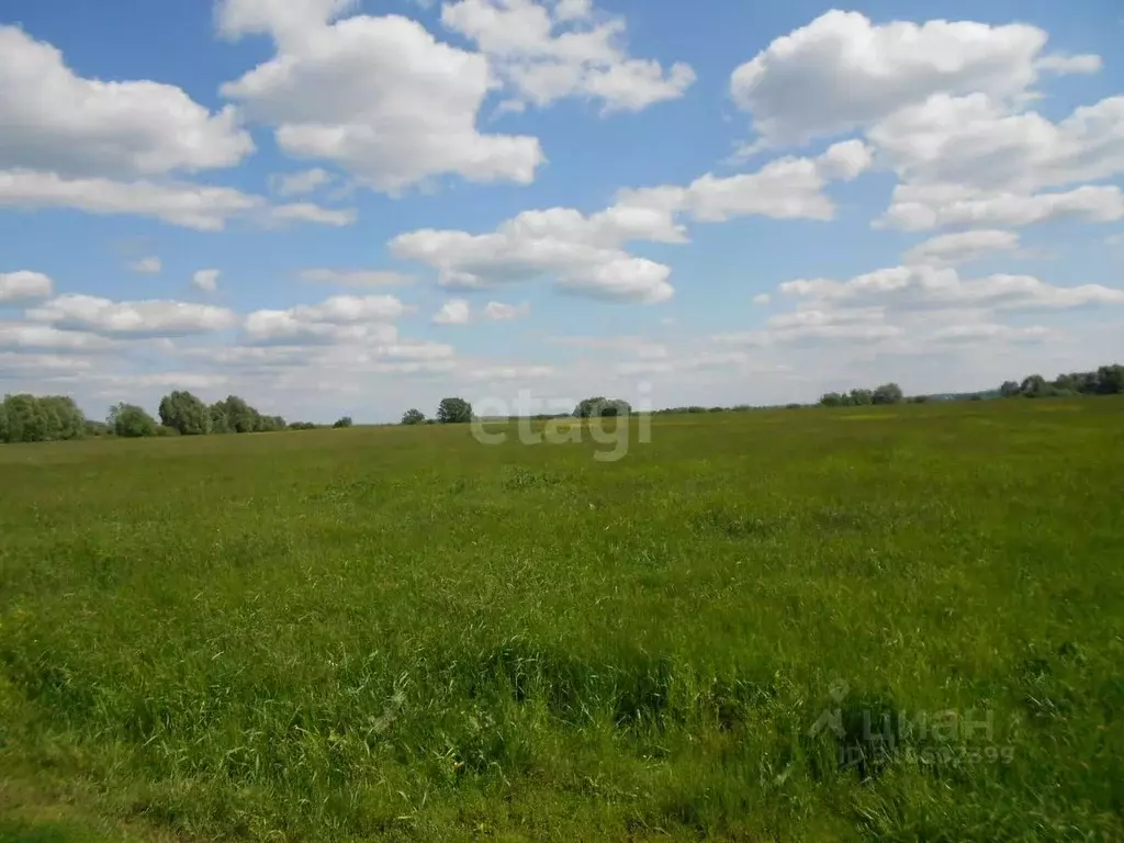 Участок в Башкортостан, с. Кармаскалы  (12.0 сот.) - Фото 2