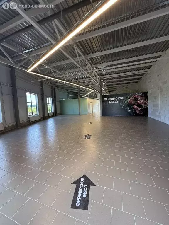 Помещение свободного назначения (50 м) - Фото 2
