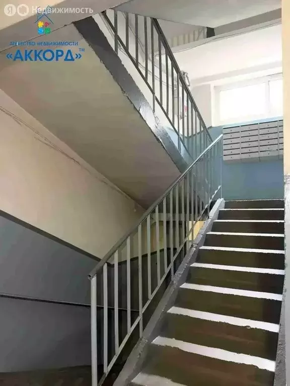 1-комнатная квартира: Барнаул, улица Энтузиастов, 20 (13.1 м) - Фото 1