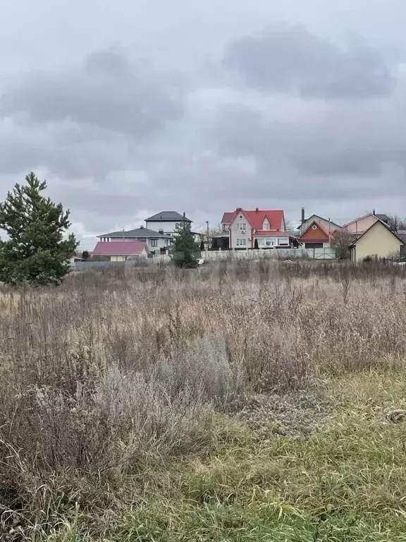 Участок в Воронежская область, Рамонский район, Новоживотинновское ... - Фото 1