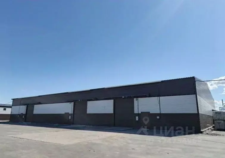 Склад в Ленинградская область, Тельмана Тосненский район, ул. ... - Фото 1