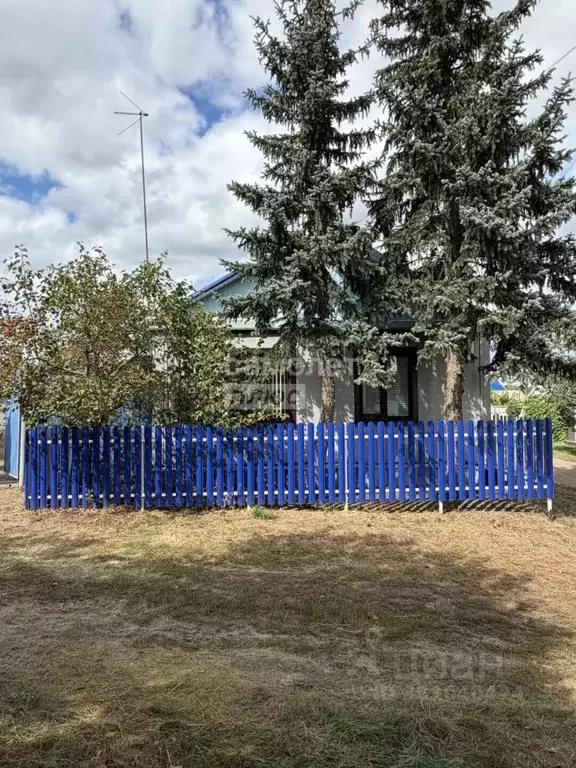 Дом в Оренбургская область, пос. Новосергиевка пер. Новый, 17 (60 м) - Фото 2