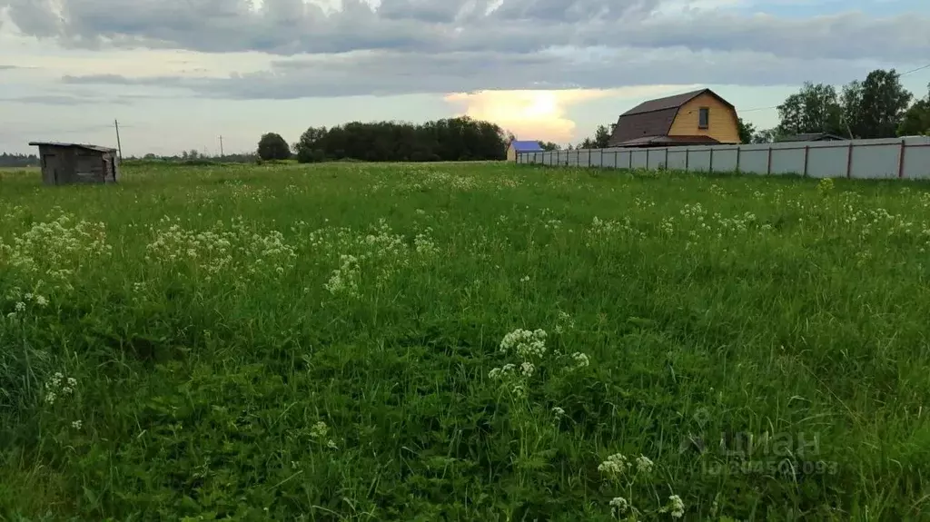 Участок в Ленинградская область, Волосовский район, Большеврудское ... - Фото 0