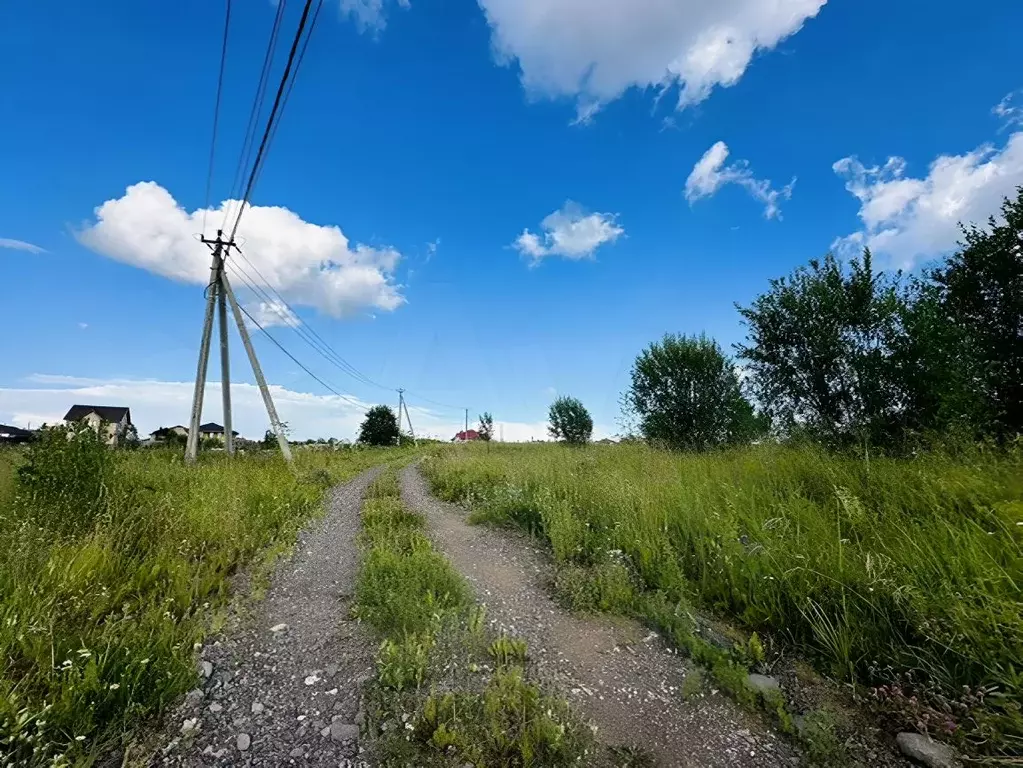 Участок в Ленинградская область, Всеволожский район, Колтушское ... - Фото 0