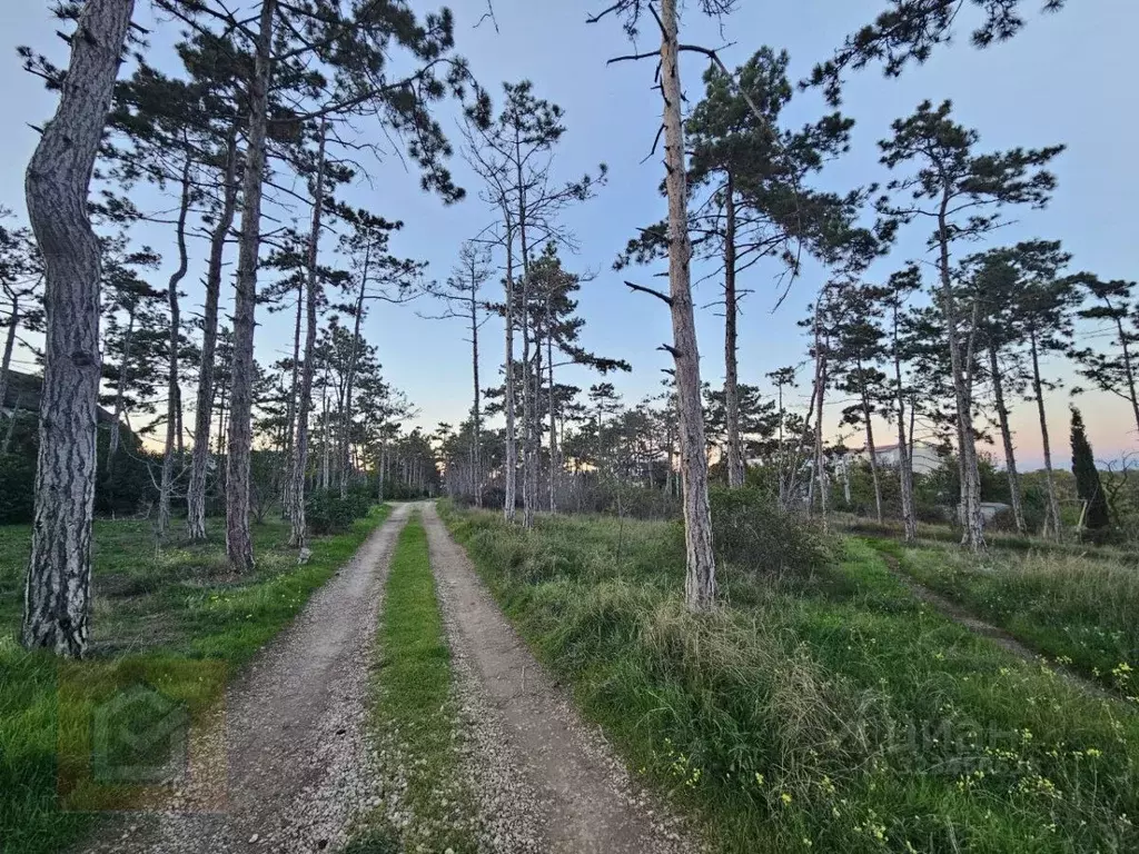 Участок в Севастополь Сосновая роща садоводческое товарищество, 122 ... - Фото 2