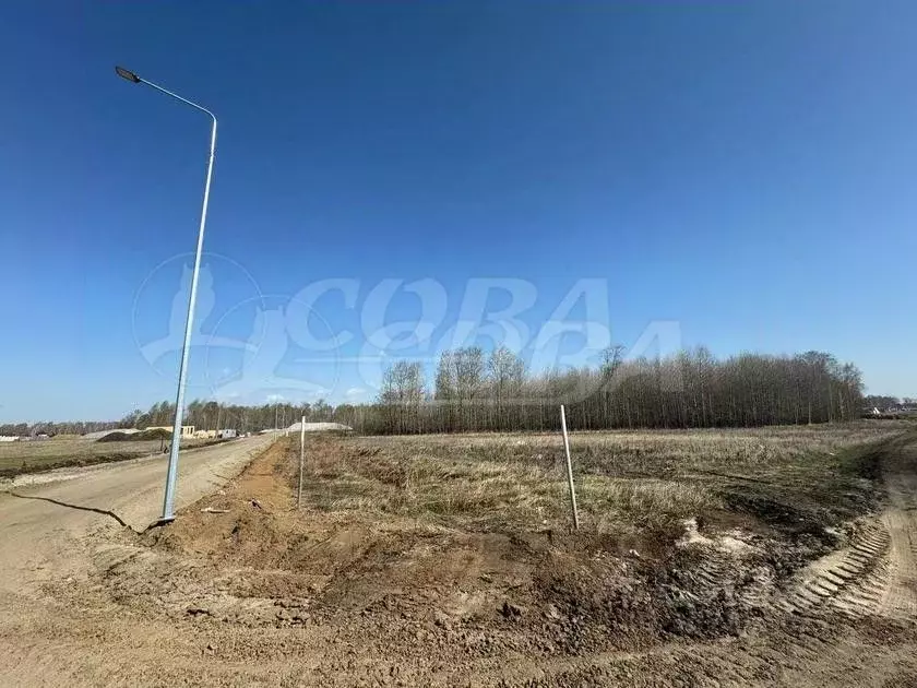 Участок в Тюменская область, Тюменский район, с. Каменка Дачная ул. ... - Фото 1