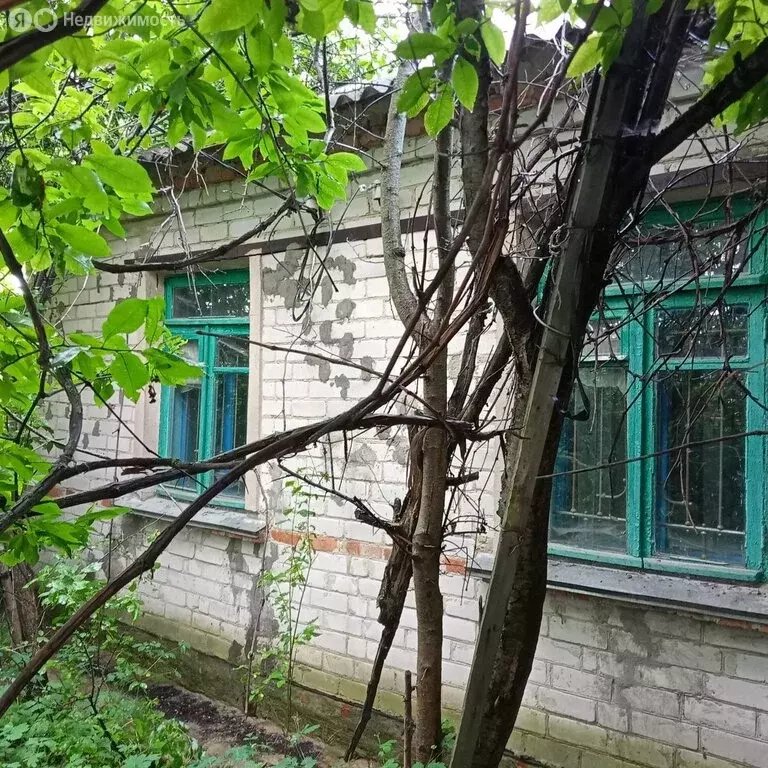 Дом в Гремячье, улица 40 лет Октября, 24 (33.6 м) - Фото 1