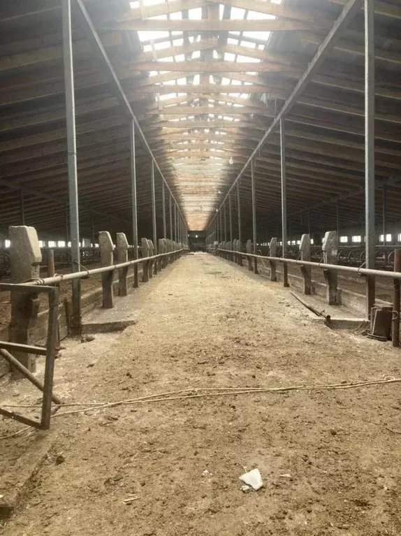 Участок в Ставропольский край, Шпаковский муниципальный округ, ... - Фото 2