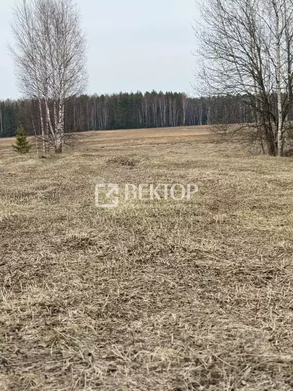Участок в Костромская область, Костромской район, Чернопенское с/пос, ... - Фото 0