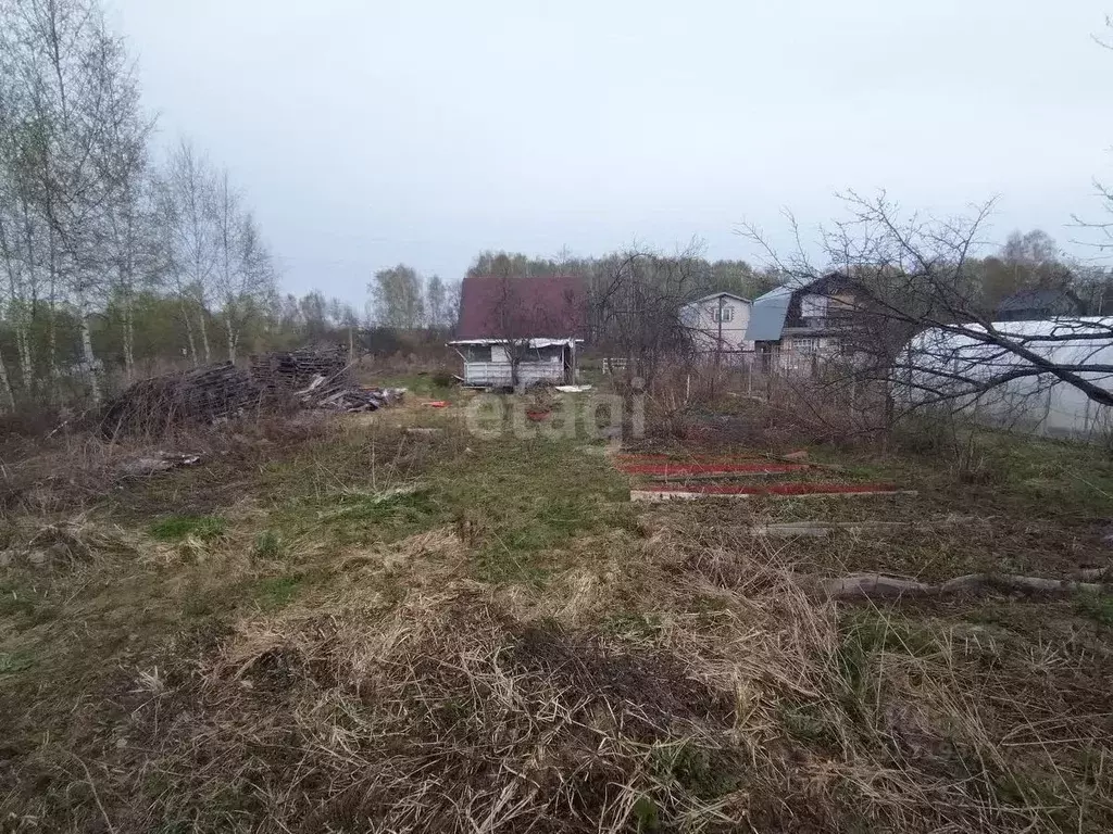 Участок в Нижегородская область, Бор городской округ, д. Петрово, ... - Фото 1