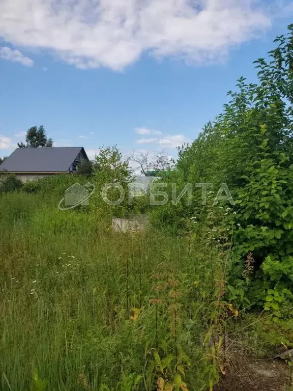 Участок в Тюменская область, Нижнетавдинский район, д. Штакульская ... - Фото 0