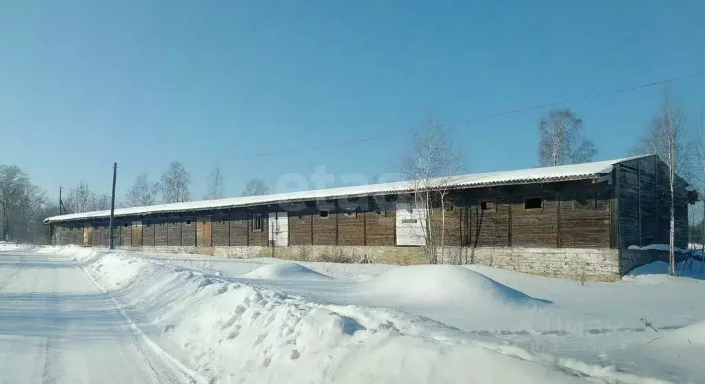 Участок в Вологодская область, Бабаево ул. Мира (56.05 сот.) - Фото 1