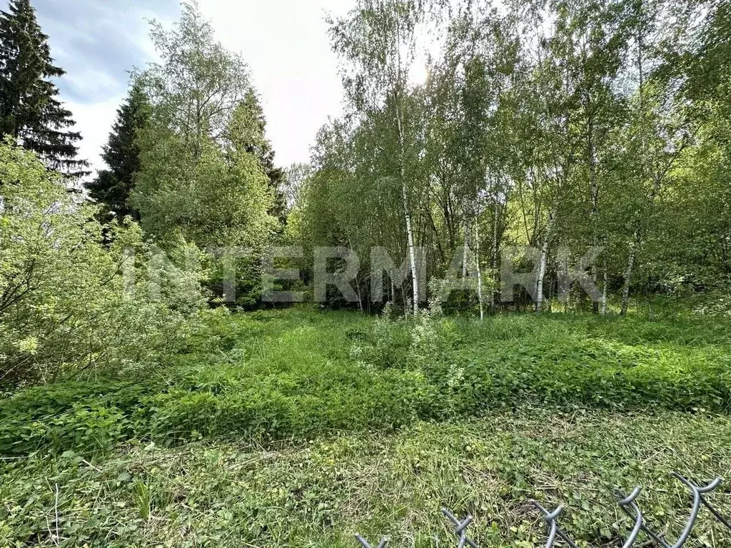 Участок в Москва № 78 кв-л,  (93.0 сот.) - Фото 2