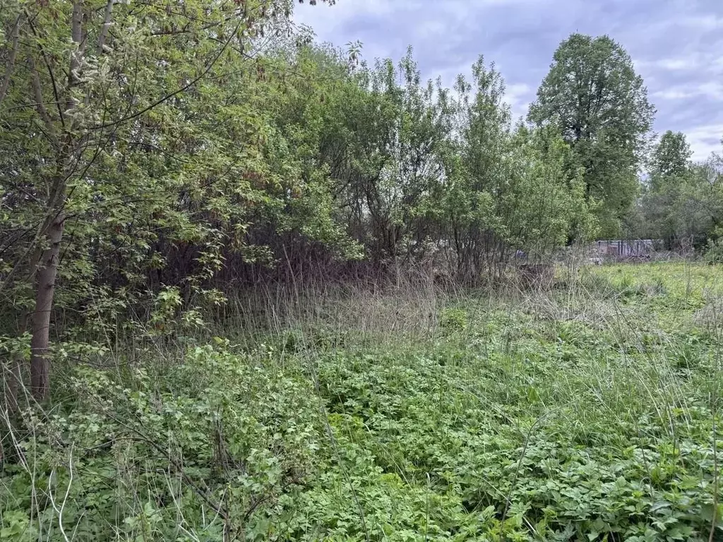 Участок в Московская область, Домодедово городской округ, д. Овчинки ... - Фото 1