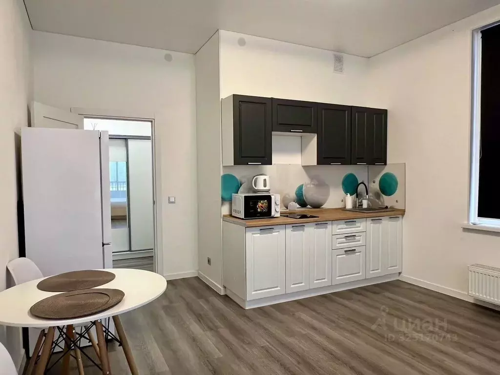 Студия Санкт-Петербург просп. Ветеранов, 204 (25.0 м) - Фото 2