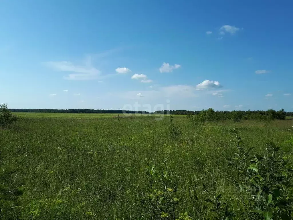 Участок в Томская область, Томский район, с. Корнилово ул. Вавилова ... - Фото 1