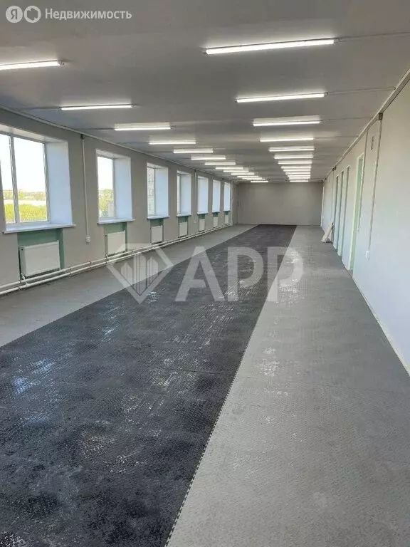 Помещение свободного назначения (540 м) - Фото 1
