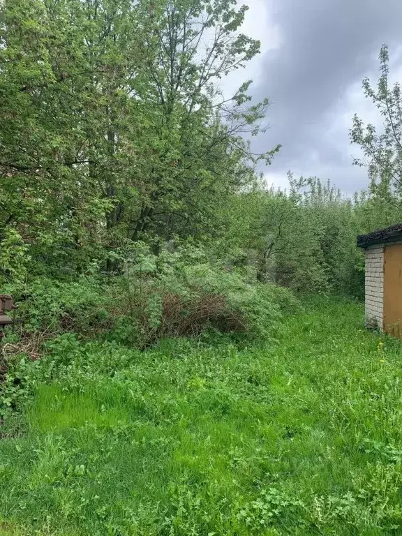 Участок в Костромская область, Кострома ул. Ивана Сусанина, 6 (12.37 ... - Фото 0