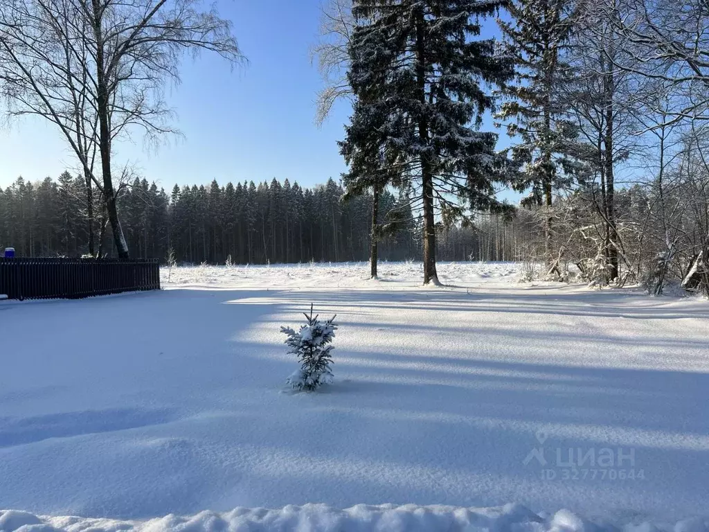 Участок в Московская область, Рузский муниципальный округ, пос. ... - Фото 2