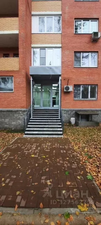 Помещение свободного назначения в Московская область, Чехов ул. ... - Фото 1