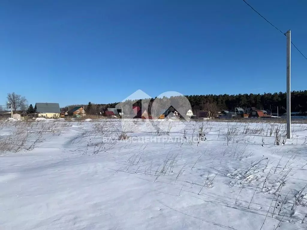 Участок в Новосибирская область, Новосибирский район, Кудряшовский дп  ... - Фото 0