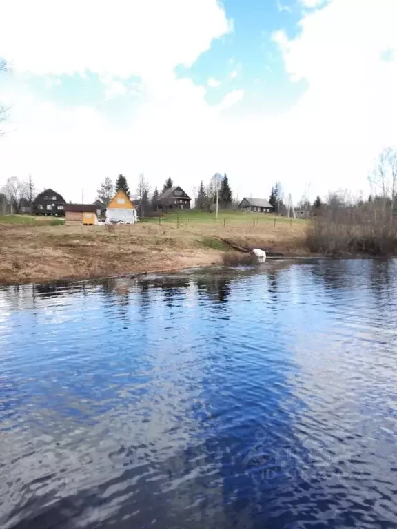 Участок в Новгородская область, Любытинское с/пос, д. Красная Гора  ... - Фото 1