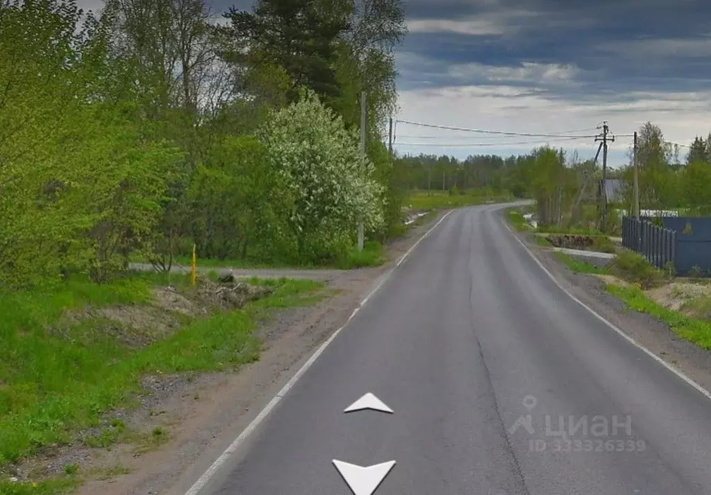 Участок в Ленинградская область, Приозерский район, Ромашкинское ... - Фото 2