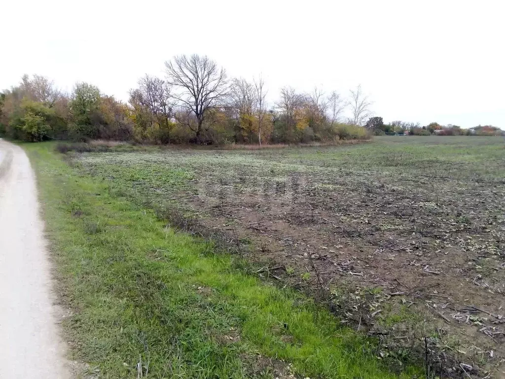 Участок в Краснодарский край, Славянский район, Петровское с/пос, ... - Фото 2