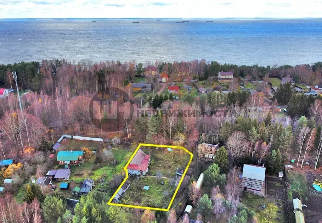 Участок в Ленинградская область, Ломоносовский район, Лебяженское ... - Фото 1