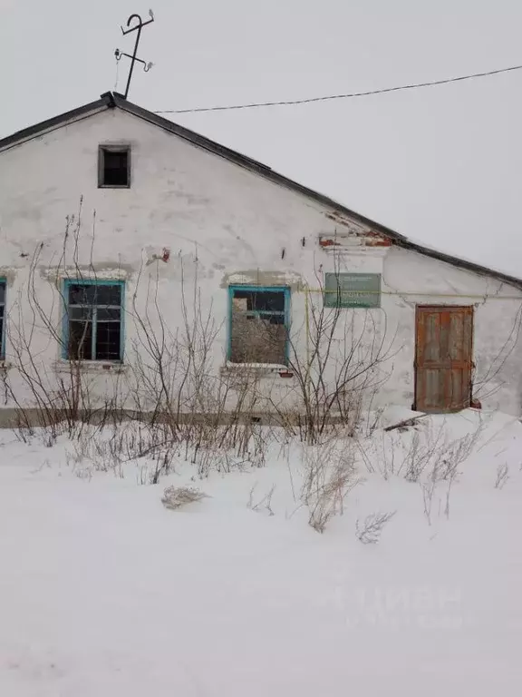 Помещение свободного назначения в Курганская область, Щучанский ... - Фото 1