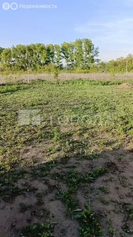Участок в Ленинское, улица Овощная Территория (5 м) - Фото 0