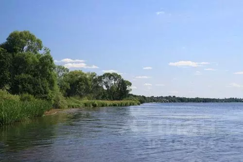 Участок в Тверская область, Кимрский муниципальный округ, д. Белое  ... - Фото 0