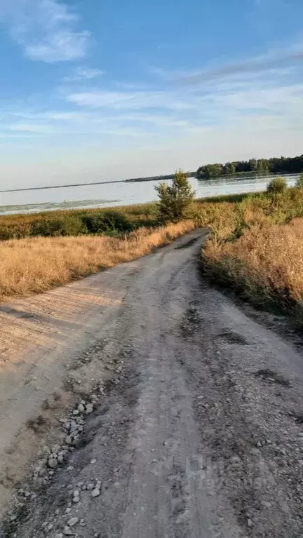 Дом в Саратовская область, Воскресенский район, Елшанское ... - Фото 1