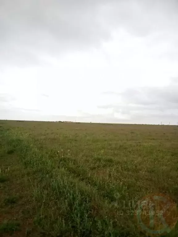 Участок в Крым, Сакский район, Ромашкинское с/пос, с. Колоски  (6.0 ... - Фото 1