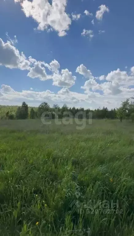 Участок в Нижегородская область, Богородский муниципальный округ, ... - Фото 1