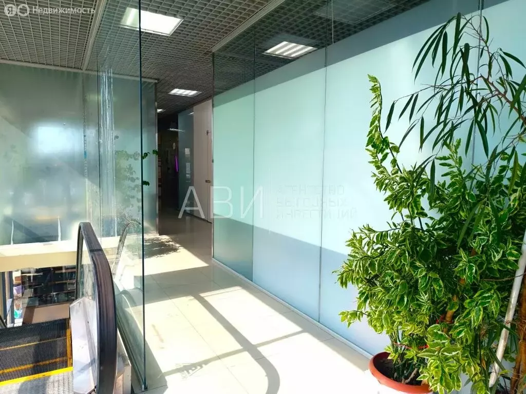Офис (25 м) - Фото 2