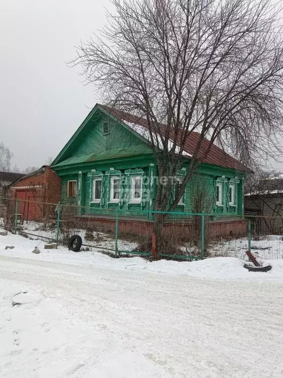 Дом в Нижегородская область, Бор городской округ, д. Борисовка 21 (48 ... - Фото 0