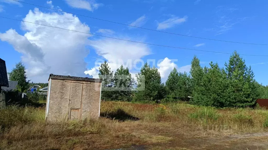 Участок в Марий Эл, Медведевский район, Куярское с/пос, Чодра СНТ 132 ... - Фото 1