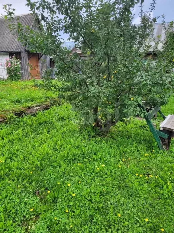 Участок в Костромская область, Нерехтский район, Пригородное с/пос, с. ... - Фото 2