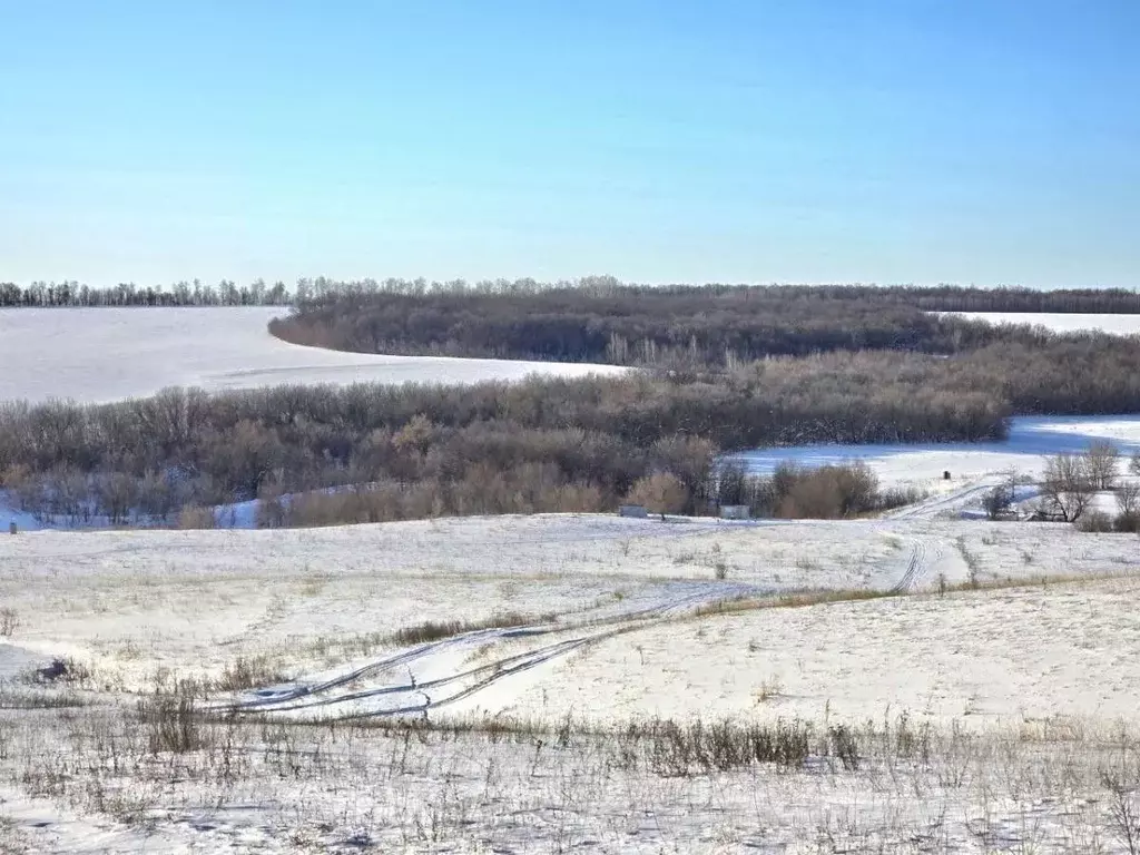 Помещение свободного назначения в Самарская область, Кинельский район, ... - Фото 1