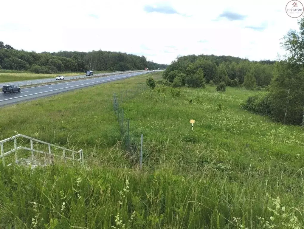 Участок в Ярославская область, Гаврилов-Ямский муниципальный округ, ... - Фото 1