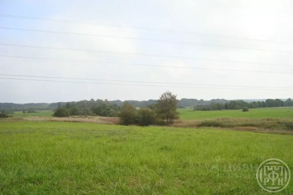 Участок в Ленинградская область, Выборгский район, Красносельское ... - Фото 2