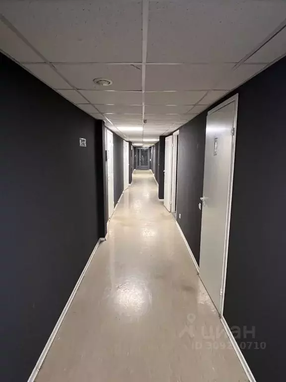 Офис в Санкт-Петербург ул. Кораблестроителей, 30 (136 м) - Фото 2